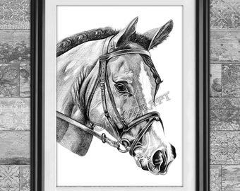 Horse pencil drawing art print