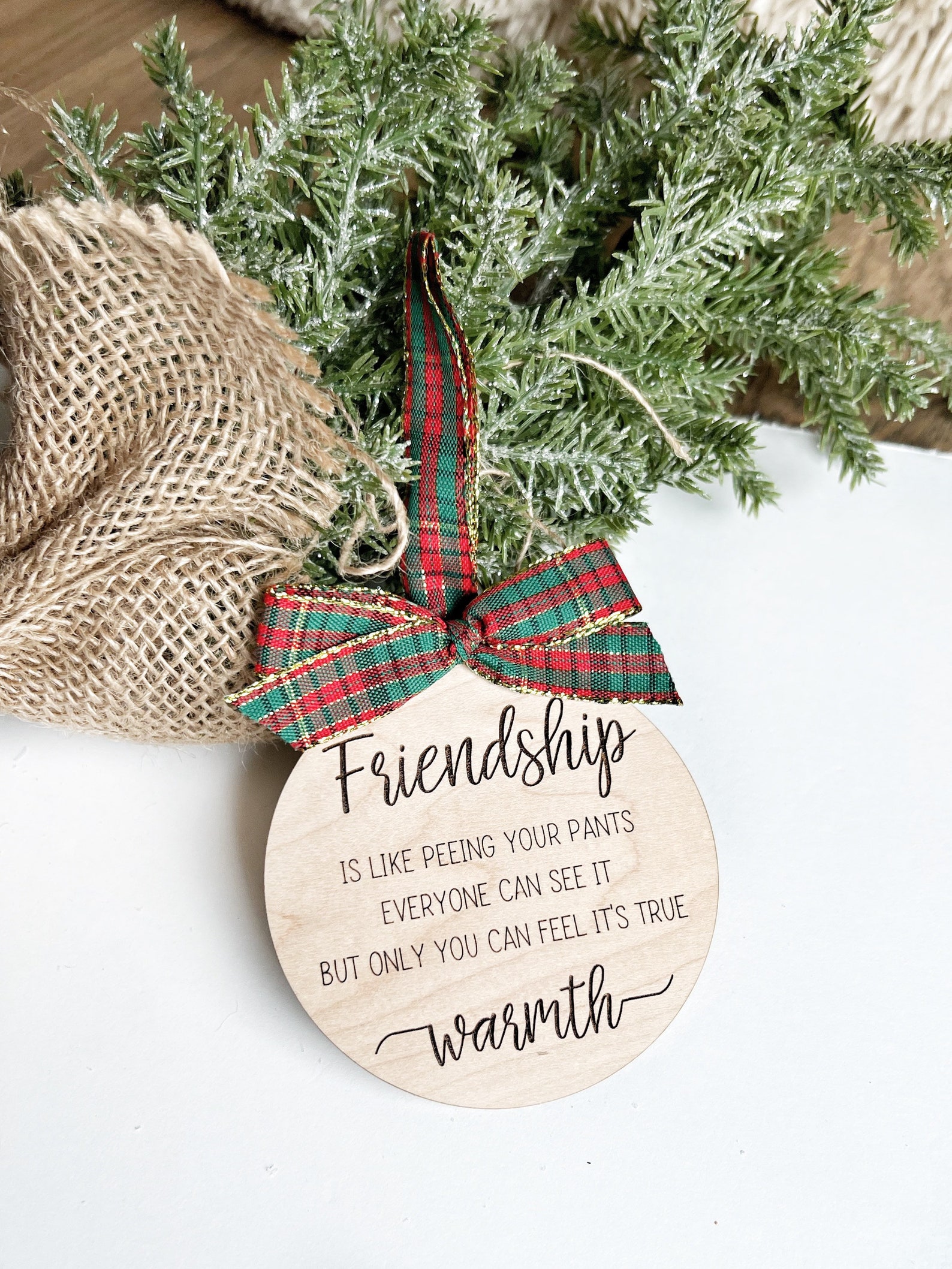 Funny Ornament for Friend Friendship is Like Peeing Your Etsy
