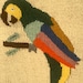 Ana Cosio