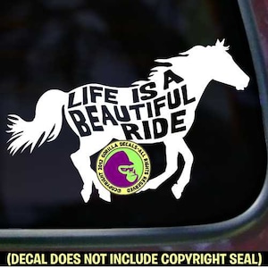 HET LEVEN is een PRACHTIGE RIT - Ruiter Vinyl Decal Sticker