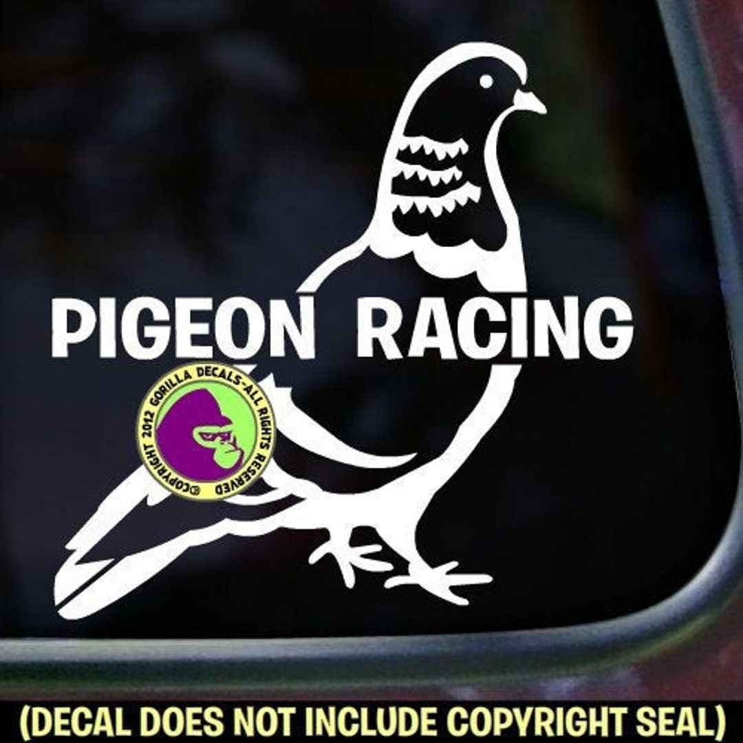 Amazon.com: I Breed Champions Pigeon Breeder Pigeon Breeding PopSockets  Swappable PopGrip : Cell Phones & Accessories