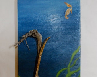 Seahorse by David Letchford