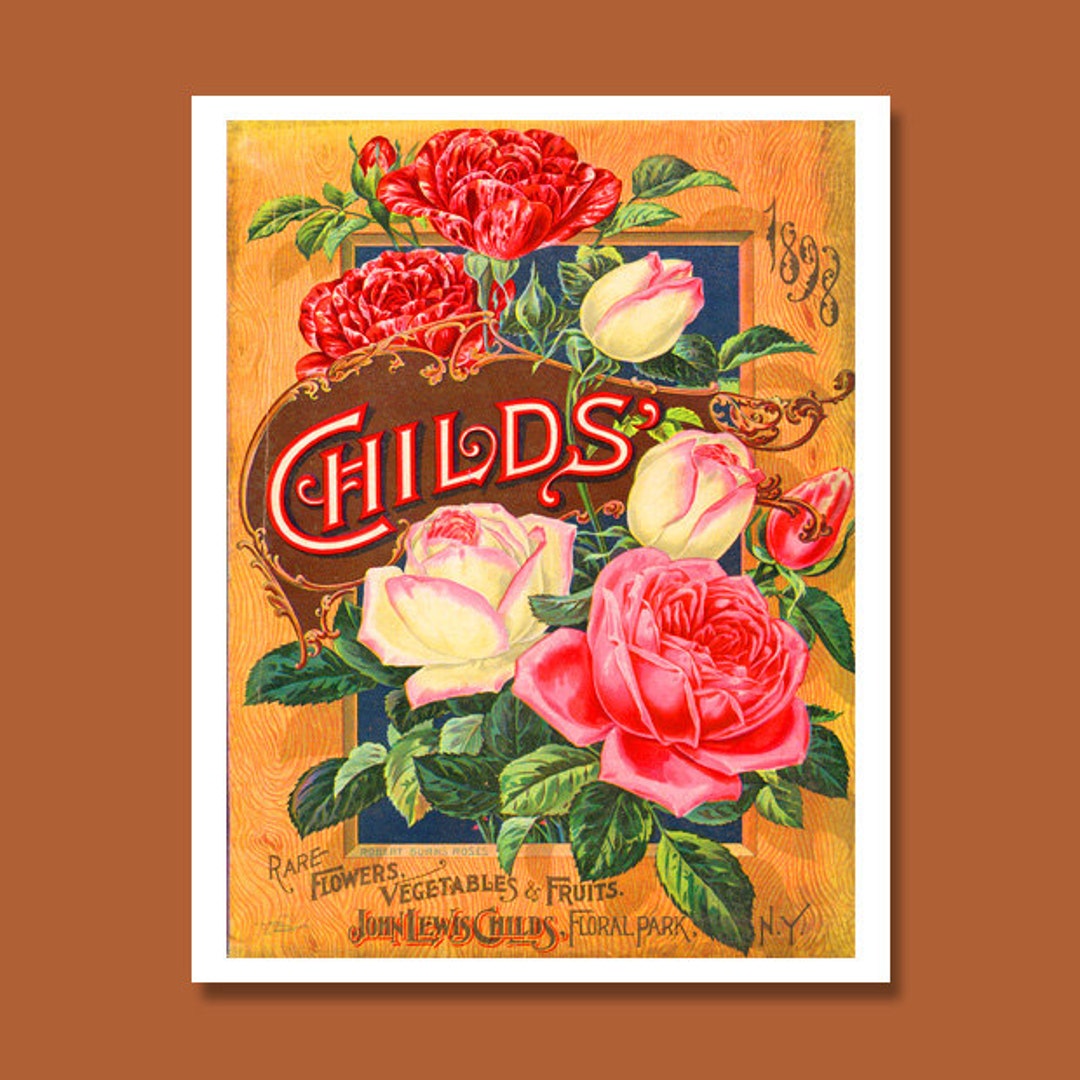John Lewis Childs Seed Catalogue Print Botanical Catalogue Etsy