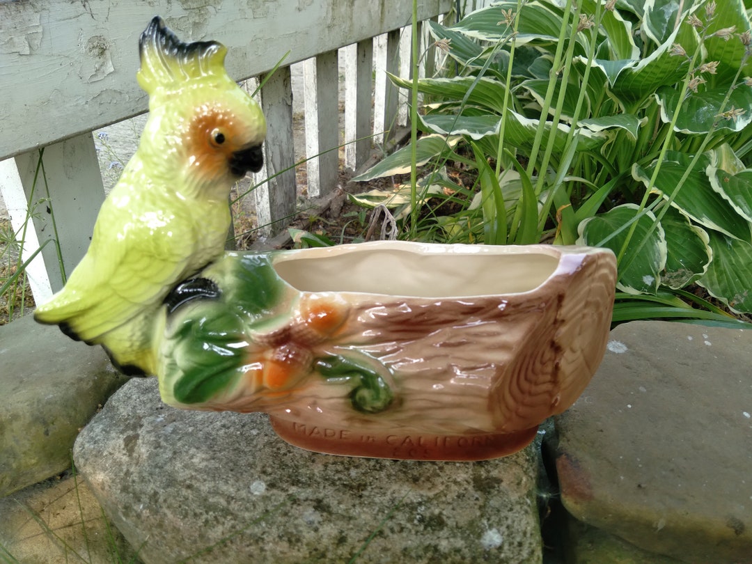 Vintage Ceramic Cockatiel Planter 205 California Etsy