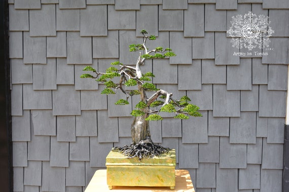 Unique and artistic cremation urn. Shaped Bonsai Style (Moyogi) Sculpture Named The Tall Trees, Now You Touch The Sky.