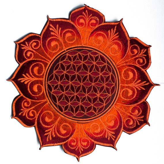 Fiore Della Va Sull'uomo Di Vruviano Di Leonardo Da Vinci Progetto Video Geometria Sacra Un Viano Lussuoso Disegno Animato D Oro Video268748960