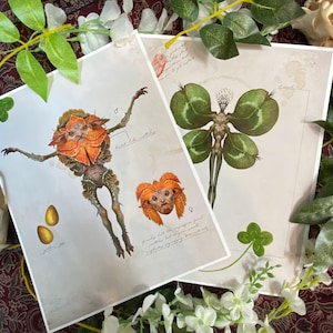 May include: Two art prints featuring botanical illustrations of fantastical creatures. One print shows a creature with an orange frill and spiky limbs, the other a figure with clover-shaped wings. The prints are on a cream background with botanical accents.
