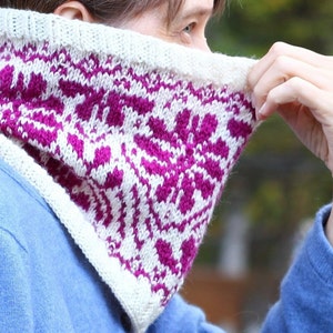 Winter Blumen col breipatroon fair isle stranded colorwok breipatroon