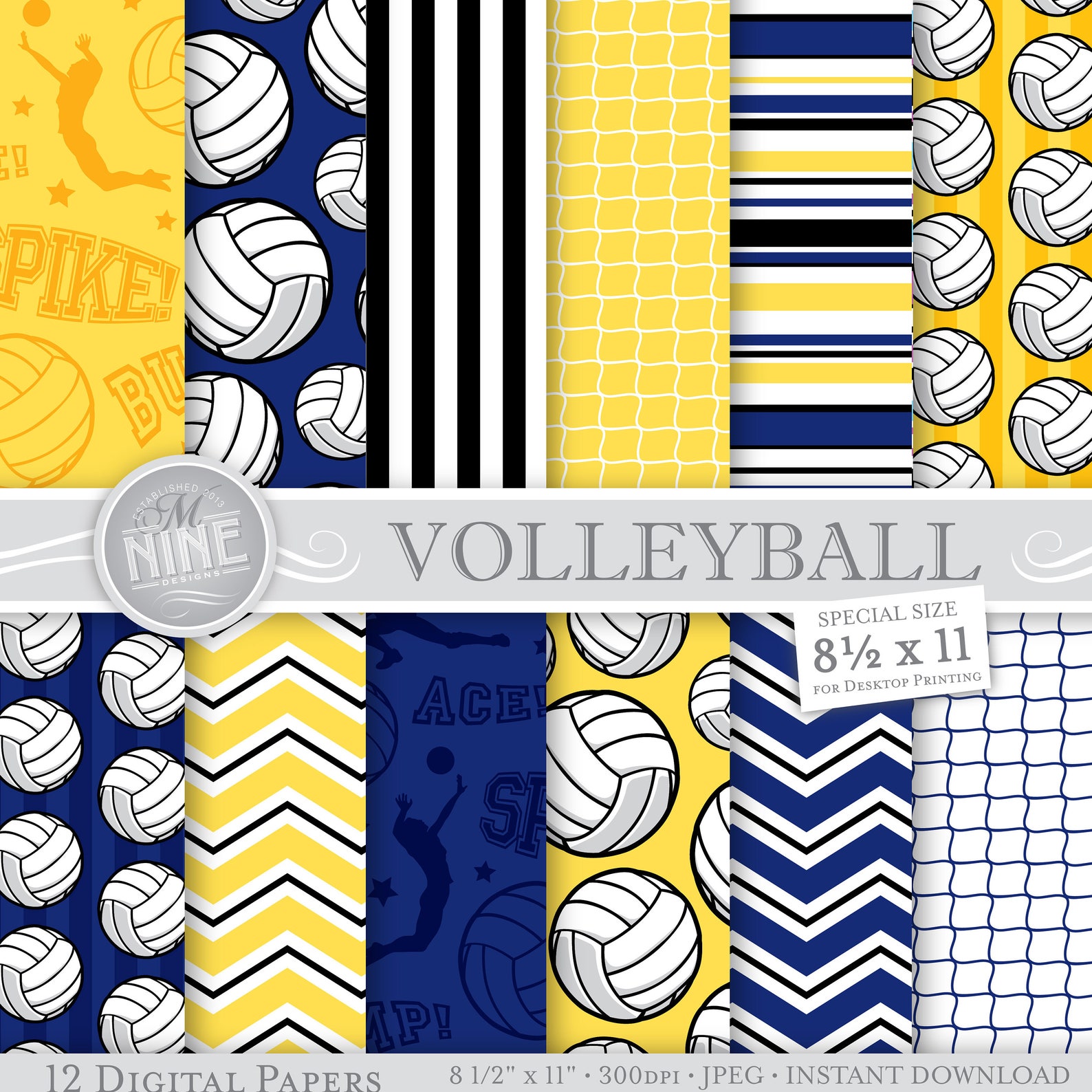 Why i love volleyball essay picture