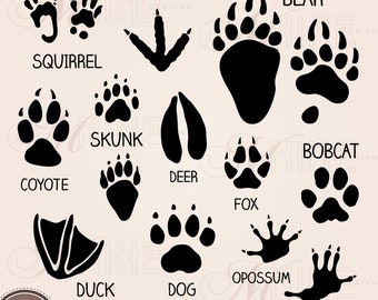 Animal Footprints Clip Art | Paw Marks Clipart Downloads | Animal Tracks Clipart | Outdoors Camping | Vector AI Png Svg Clipart