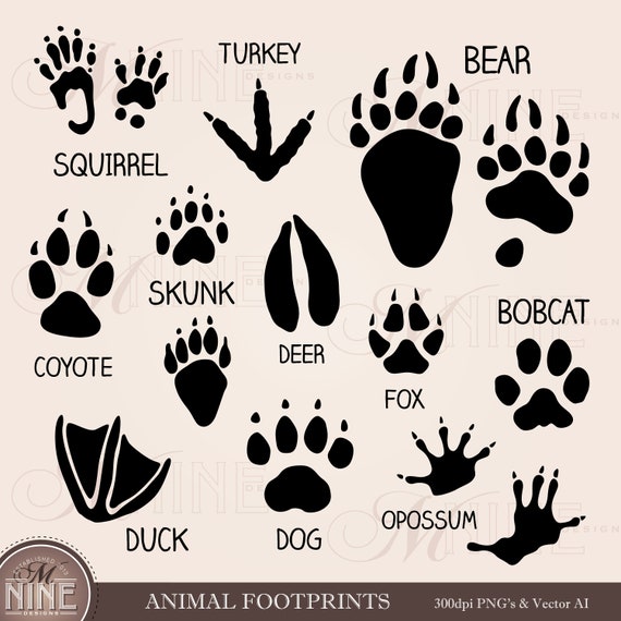 Animal Footprints Variety Of Animal Paw Prints Stock Illustration