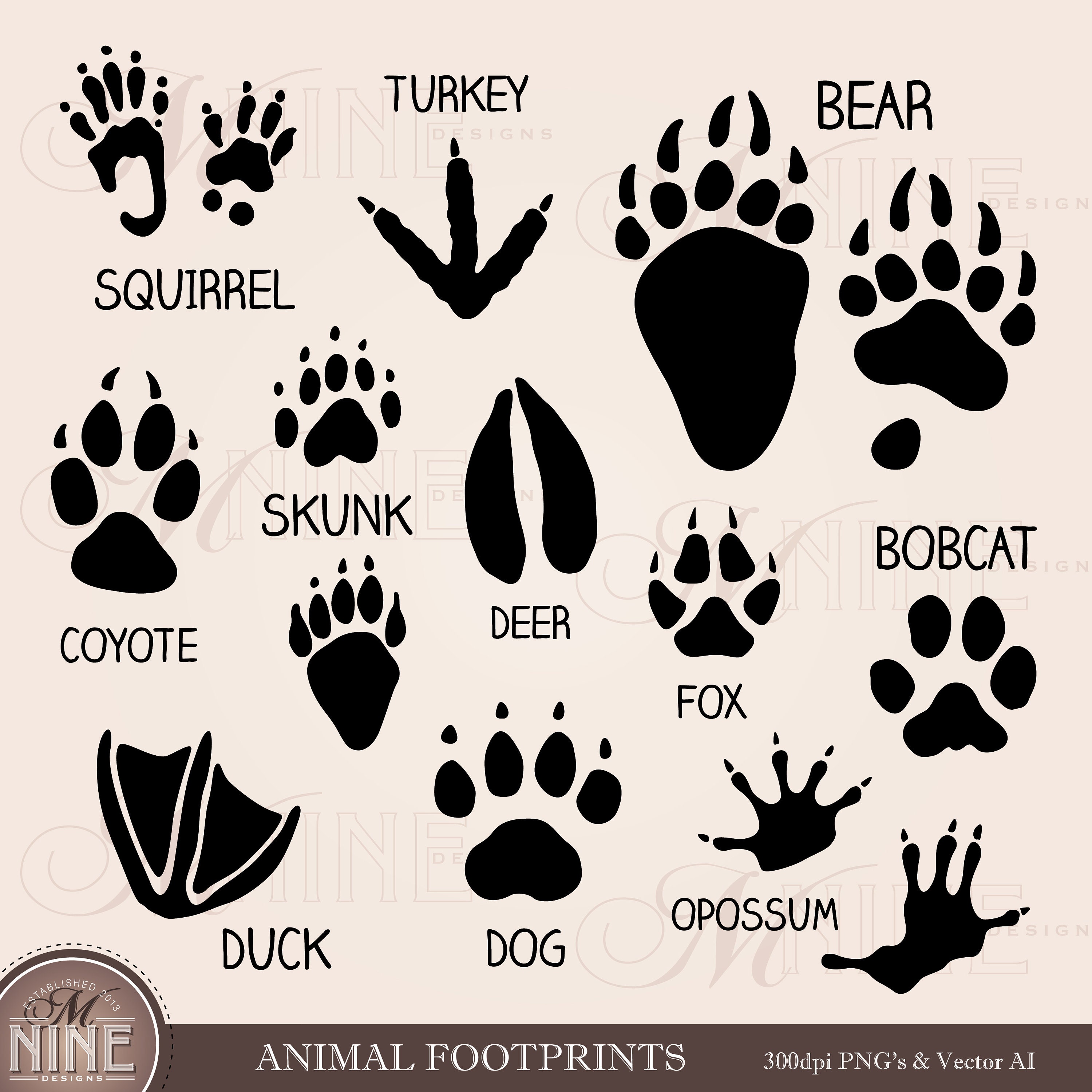 Animal Footprints Variety Of Animal Paw Prints Stock Illustration -  Download Image Now - Paw Print, Footprint, Track - Imprint - iStock