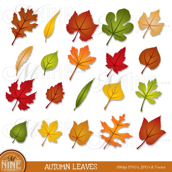 AUTUMN LEAVES Digital Clipart Clip Art Graphics, Instant Download, Vector File Fall Graphics Commercial Use Green Red Orange Yellow