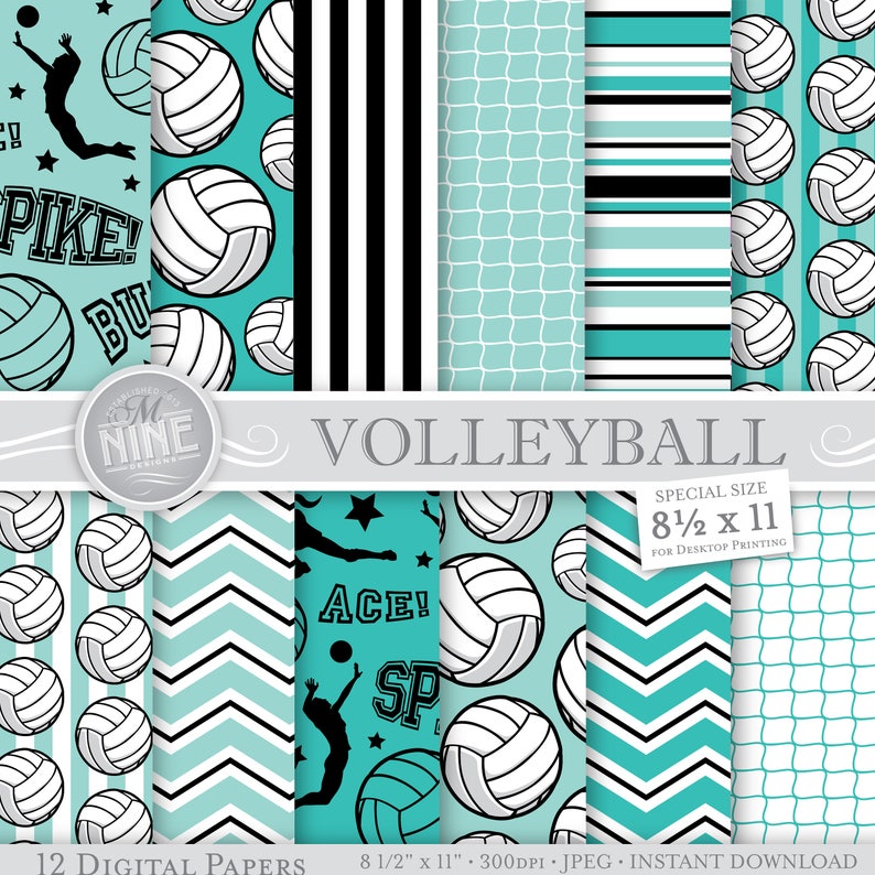 Volleyball essay 8 image