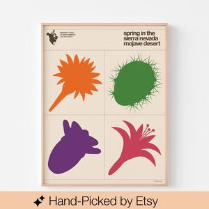 Mojave Wüste Frühling Flora Poster Druck | Kaktus Lehrtafel | Mid Century Modern American Charley Harper | 20-40% SALE + KOSTENLOSER VERSAND