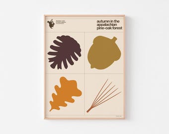 Lámina decorativa con la flora otoñal del bosque de los Apalaches / Tabla botánica de pinos y robles / Estilo moderno de mediados de siglo, obra de Enzo Mari / 20-40% de descuento + envío gratis