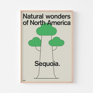 Mammutbaum Poster | Naturwunder Nordamerikas | Moderna Museet Mid Century Modern Botanische Baumkarte | 20-40% SALE + KOSTENLOSER VERSAND