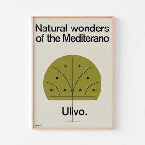 Olivenbaum Poster | Naturwunder des Mittelmeeres | Mid Century Modern Charley Harper Griechenland Italien | 20-40% SALE + KOSTENLOSER VERSAND