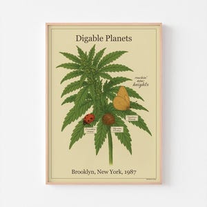 May include: A framed poster with the text "Digable Planets" at the top. The poster features a green plant with a ladybug, a butterfly, and a snail. The text "reachin' new heights" is also present. The bottom of the poster reads "Brooklyn, New York, 1987".