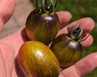 Atomic Grape Tomato Seeds: Brad's Heirloom, biologisch geteeld