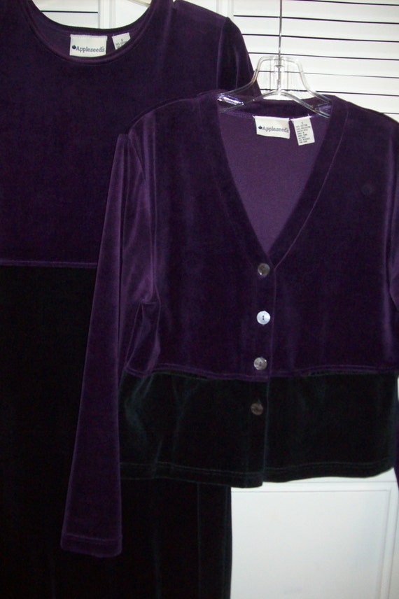 Dress 8 - 10, Vintage Appleseed Velvet Maxi Dress… - image 4