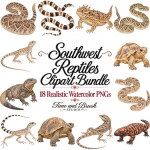 Southwest Reptiles Clipart Bundle | 18 Realistic Watercolor PNGs | Desert Tortoises, Lizards & Snakes | Commercial Use