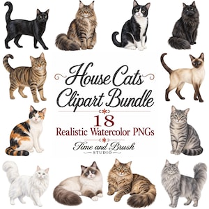 May include: A collection of 18 realistic watercolour cat illustrations featuring various breeds and coat patterns. The text reads House Cats Clipart Bundle, 18 Realistic Watercolour PNGs, and Time and Brush STUDIO. Each cat is depicted in a distinct pose.