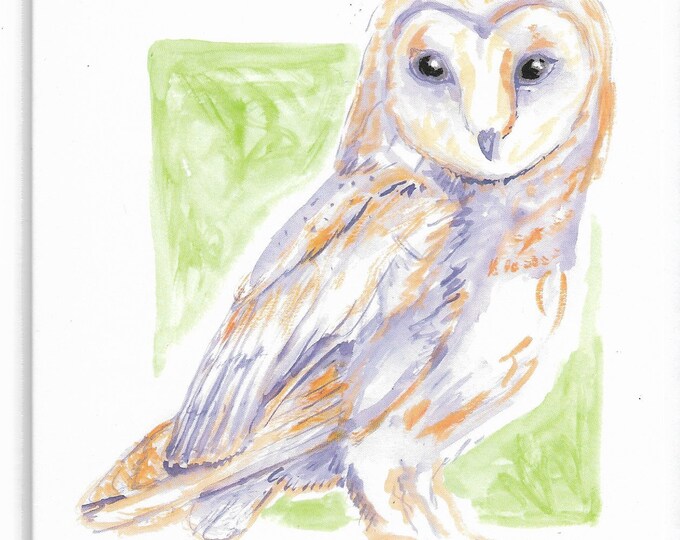 Barn Owl