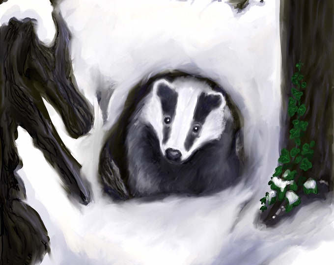 Badger in Snow
