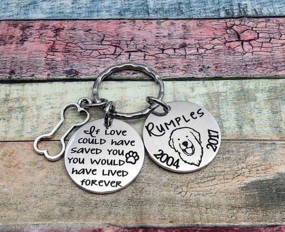 Bright Dog Inspiration 50th Anniversary Bundle Metal Anniversary Frame and Commemorative Keychain