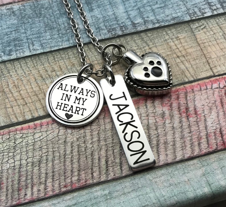 Dog Memorial Cat memorial Pet Memorial Cremation Necklace | Etsy
