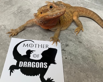 Mother of Dragons Bearded Dragon Game of Thrones Inspired Vinyl Decal