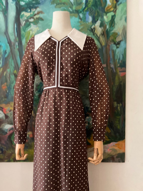 1960s  Brown Polkadot Long Sleeve Maxi Dress - image 7