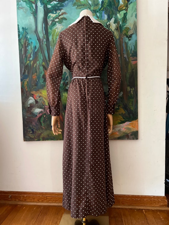 1960s  Brown Polkadot Long Sleeve Maxi Dress - image 5