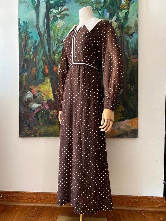 1960s  Brown Polkadot Long Sleeve Maxi Dress - image 3