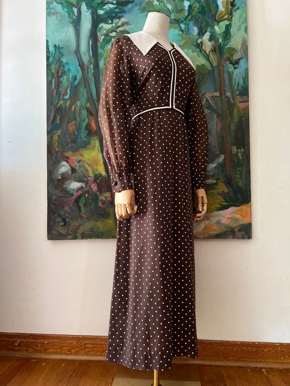 1960s  Brown Polkadot Long Sleeve Maxi Dress - image 2