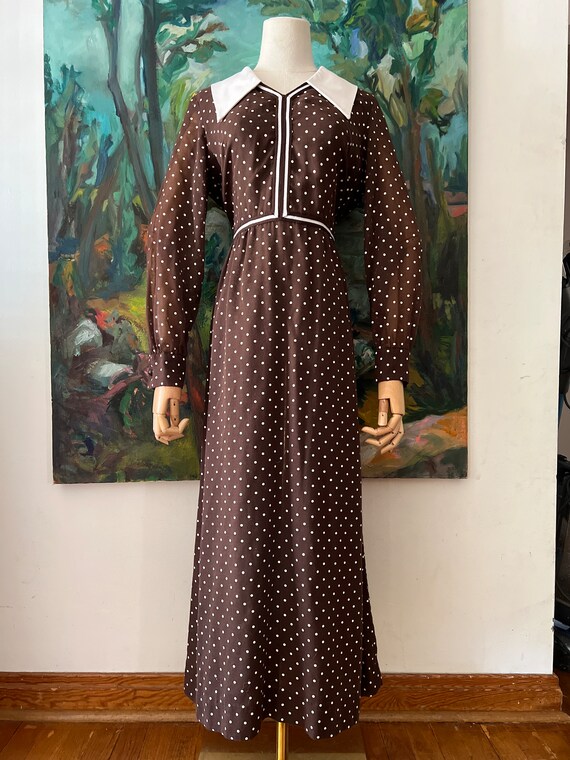 1960s  Brown Polkadot Long Sleeve Maxi Dress - image 4