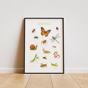 Insects in Spanish Poster: Nature Classroom Decor (Digital Download A4 PNG File)