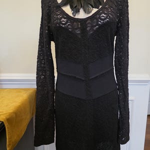 May include: A black lace dress with long sleeves and a scoop neckline. The dress features a fitted bodice with a textured pattern and a flared skirt. A black feather necklace is displayed on the mannequin. The dress is a dark, elegant garment.