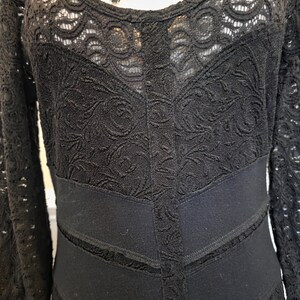 May include: Black lace dress with long sleeves and a scoop neckline. The dress features a detailed floral pattern and a fitted waist with horizontal bands. A black feather boa is draped at the neckline.