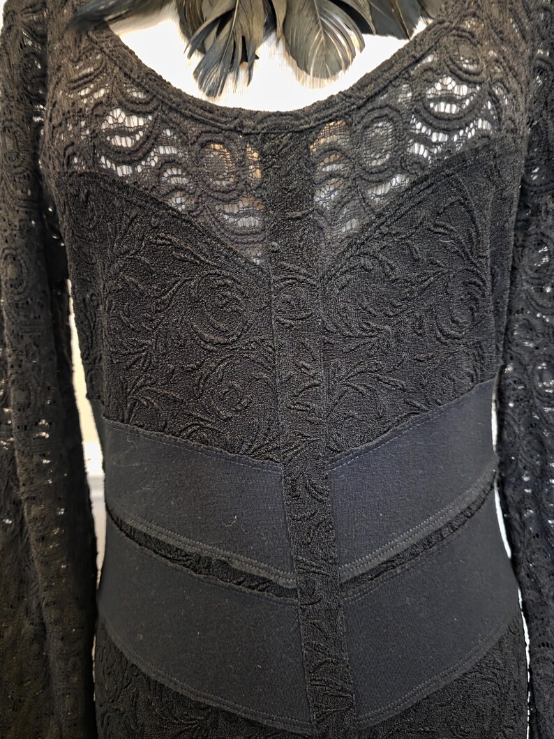 May include: Black lace dress with long sleeves and a scoop neckline. The dress features a detailed floral pattern and a fitted waist with horizontal bands. A black feather boa is draped at the neckline.