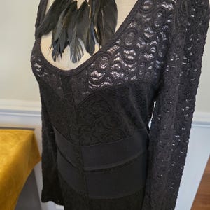 May include: Black lace dress with long sleeves and a V-neckline. The dress features a fitted waist and a decorative feather necklace. The lace pattern is visible throughout the dress, creating a textured look.