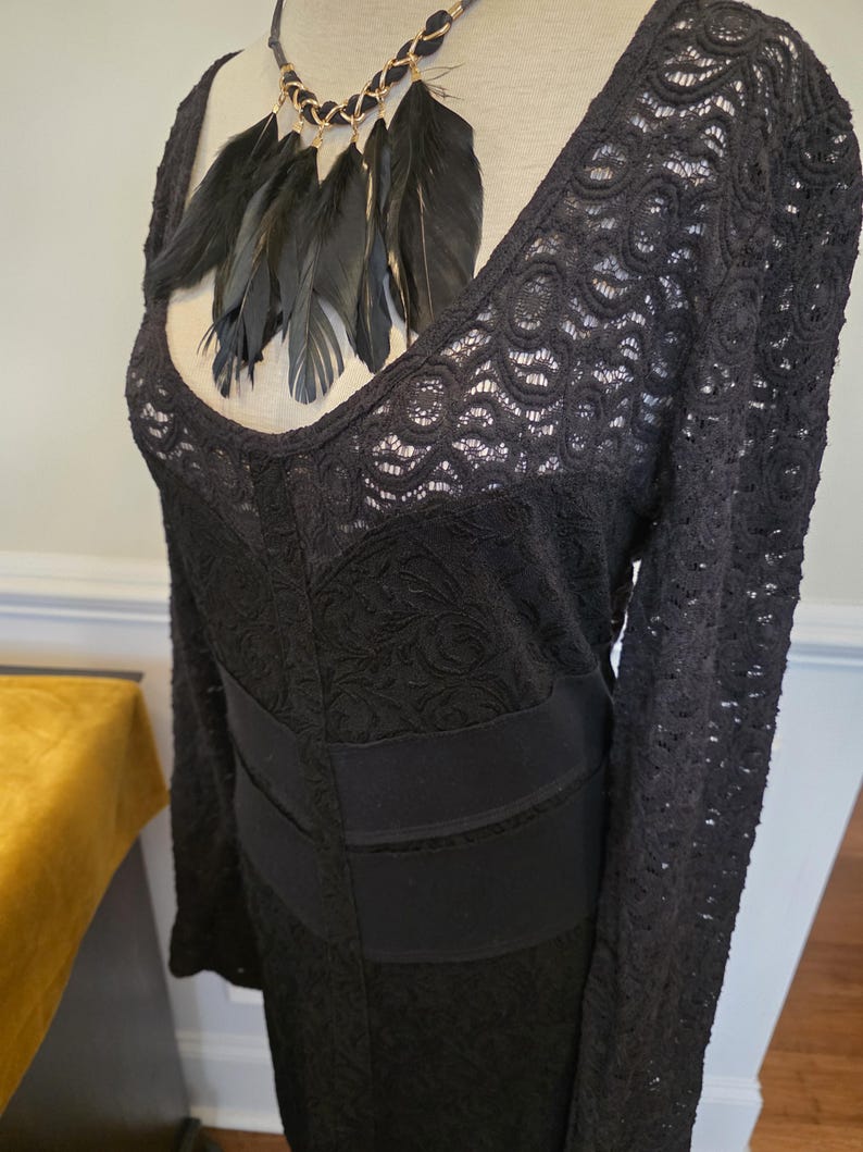 May include: Black lace dress with long sleeves and a V-neckline. The dress features a fitted waist and a decorative feather necklace. The lace pattern is visible throughout the dress, creating a textured look.