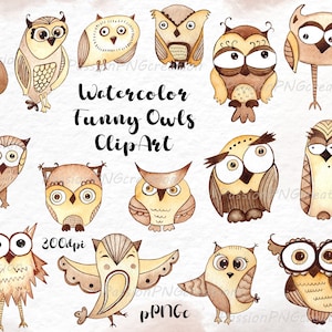 Watercolor funny owls ClipArt, Watercolour Owl clip art, cute Owl Graphics, Woodland, Printable Art, PNG files  Instant Download