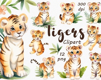 Watercolor Tiger Clipart - Wildlife Illustration - Instant Download - DIY Art & Decor - Jungle Theme