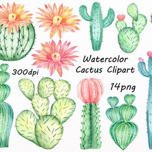 Watercolor Cactus Clipart: Hand-Painted Succulents (PNG Digital Download)