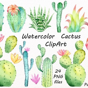 Clipart di cactus ad acquerello, piante grasse dipinte a mano, clipart digitali, fiori, inviti, piante grasse, per uso personale e commerciale