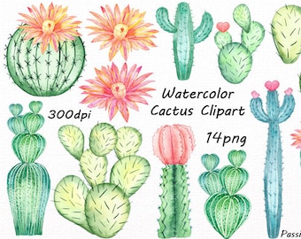 Watercolor Cactus Clipart: Hand-Painted Succulents (PNG Digital Download)