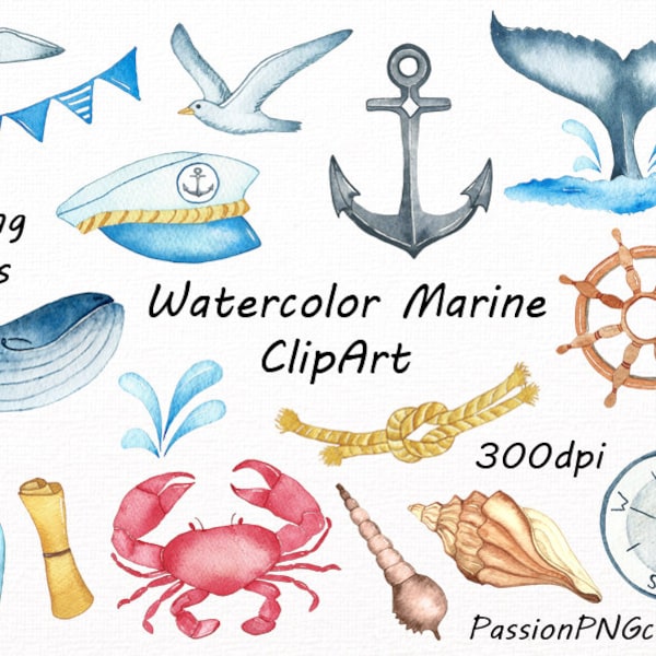 Watercolor Marine Clipart, Nautical watercolor clip art, PNG, anchor, sea shell, Digital Nautical, For Personal and Commercial Use