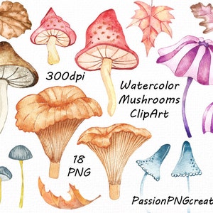 Clipart champignons aquarelle, clipart champignons numériques, aquarelle, automne, feuilles, PNG, pour un usage personnel et commercial